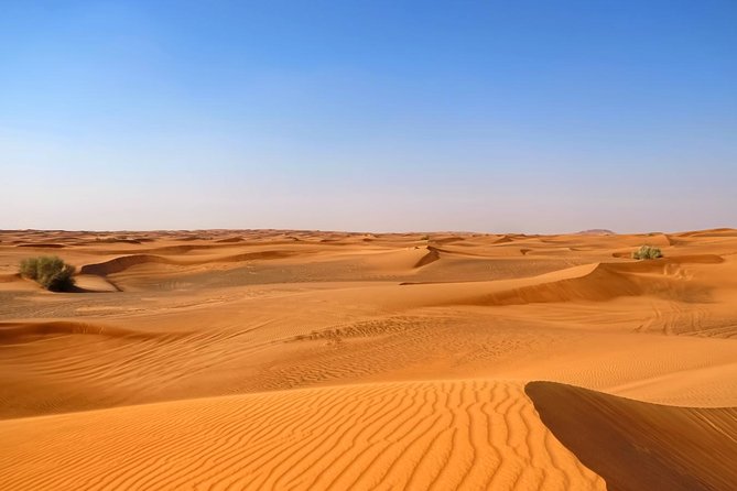 Dubai Desert Safari with Dune Bashing, Camel Rides & BBQ - Why this six-hour safari works well for first-time visitors