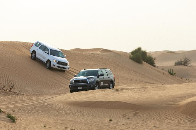 Dubai Desert Safari with Quads, BBQ Dinner, Camel ride, & Shows - BBQ dinner under the stars