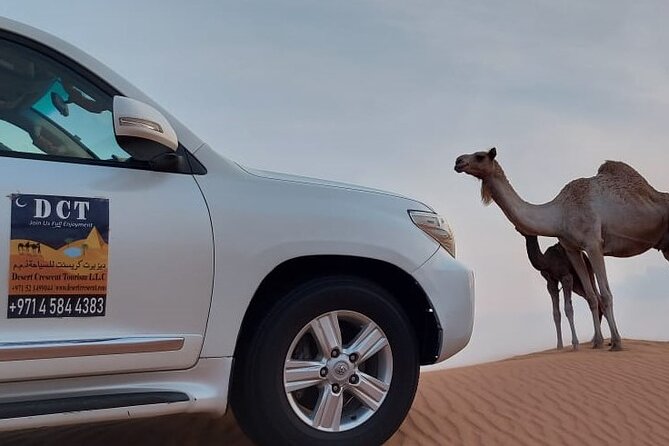 Dubai Desert Safari With Sandboarding & Camel Riding - Dinner, drinks, and the food question