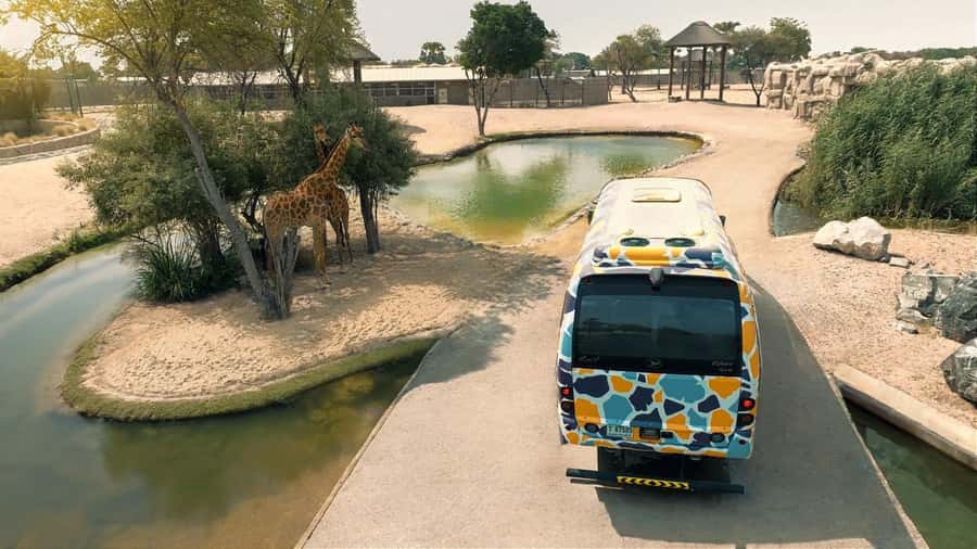 Dubai: Dubai Safari Park Entry Pass - Take the Explorer Safari for closer views