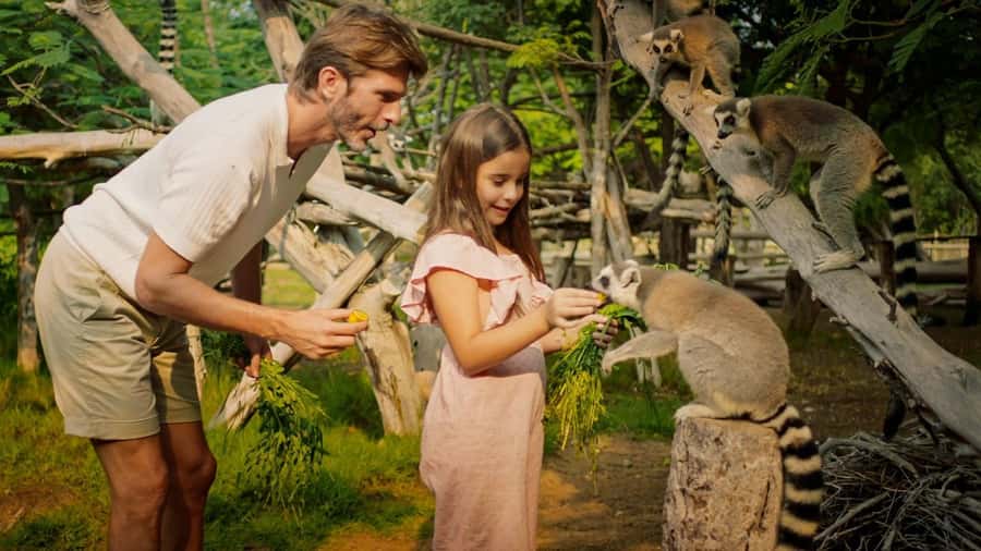 Dubai: Dubai Safari Park Entry Pass - Let children loose at the Kids Farm