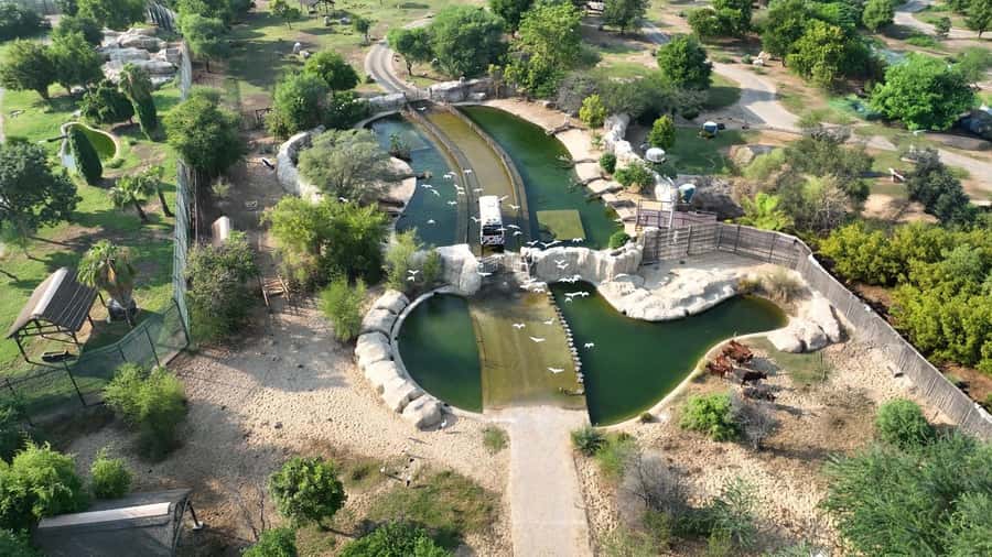 Dubai: Dubai Safari Park Entry Pass - Plan your day around the heat