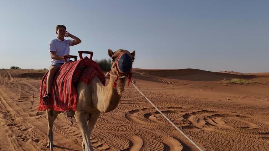 Dubai: Dune Buggy Safari and Camel Ride with Transportation - Guides, photos, and the pace of the ride