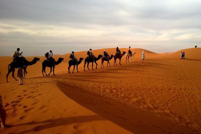 Dubai Evening 4x4 Desert Safari ATV Bike ,Camel Ride , BBQ Dinner - Dinner and four evening shows