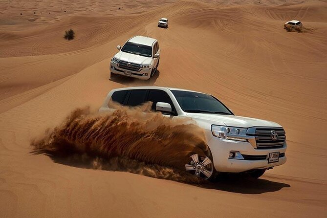 Dubai Evening Desert Safari & BBQ Dinner - Guides, families, and the human side of the trip