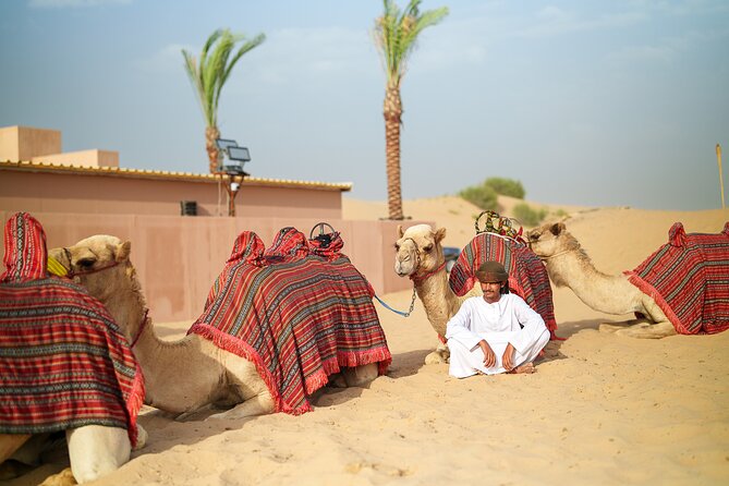 Dubai Evening Desert Safari BBQ Dinner & Transfer to Noble Camp - What the guides add to the experience