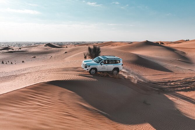 Dubai Evening Desert Safari: Sandboarding, BBQ, Camel Ride & more - BBQ dinner, soft drinks, and live entertainment