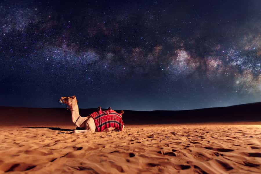 Dubai: Evening Desert Safari with Camel Ride & Stargazing - Sandboarding under the night sky