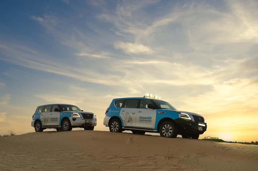 Dubai: Evening Desert Safari with Camel Ride & Stargazing - The camel ride is short but atmospheric