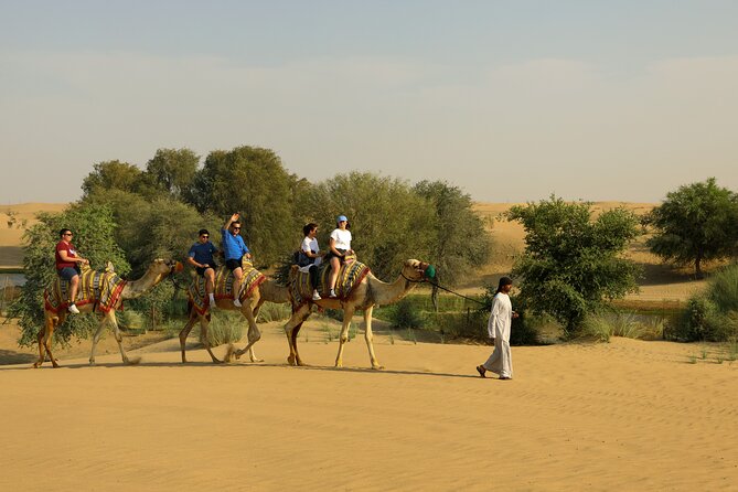 Dubai Evening Heritage Safari by Vintage G Class Al Marmoom Oasis - Sunset, stories, dinner, and the final dark sky