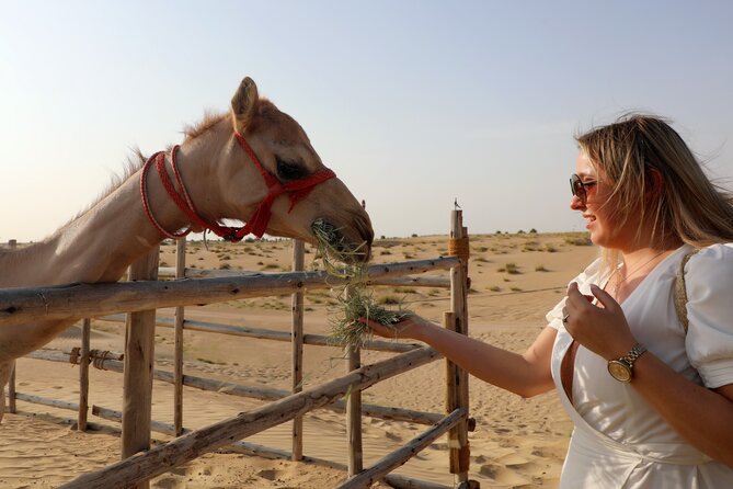 Dubai Evening Heritage Safari by Vintage G Class Al Marmoom Oasis - Is $189 a fair price?
