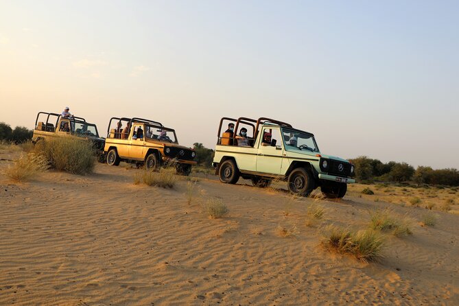 Dubai Evening Heritage Safari by Vintage G Class Al Marmoom Oasis - Al Marmoom Conservation Reserve and the desert stop