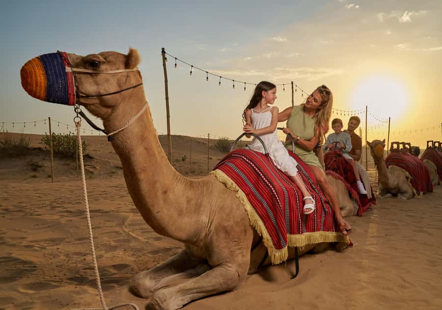 Dubai: Exclusive VIP Desert Safari Dinner with Live Show - Quad bikes and buggies need a clear answer
