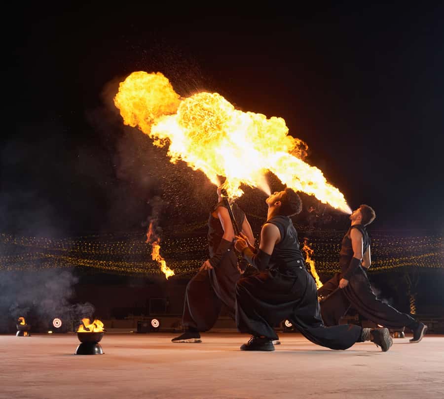 Dubai: Exclusive VIP Desert Safari Dinner with Live Show - Is $201 good value?