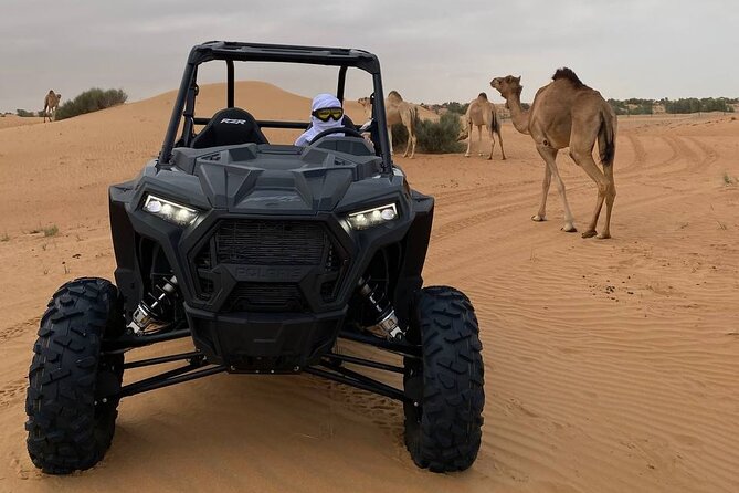 Dubai: Extreme Red Dune Buggy Desert Safari Adventure - Who should book this desert adventure?
