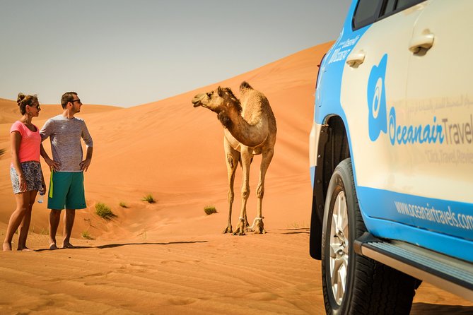 Dubai: Half-Day Desert Safari, Camels, Quad Bike & Refreshments - Key points at a glance