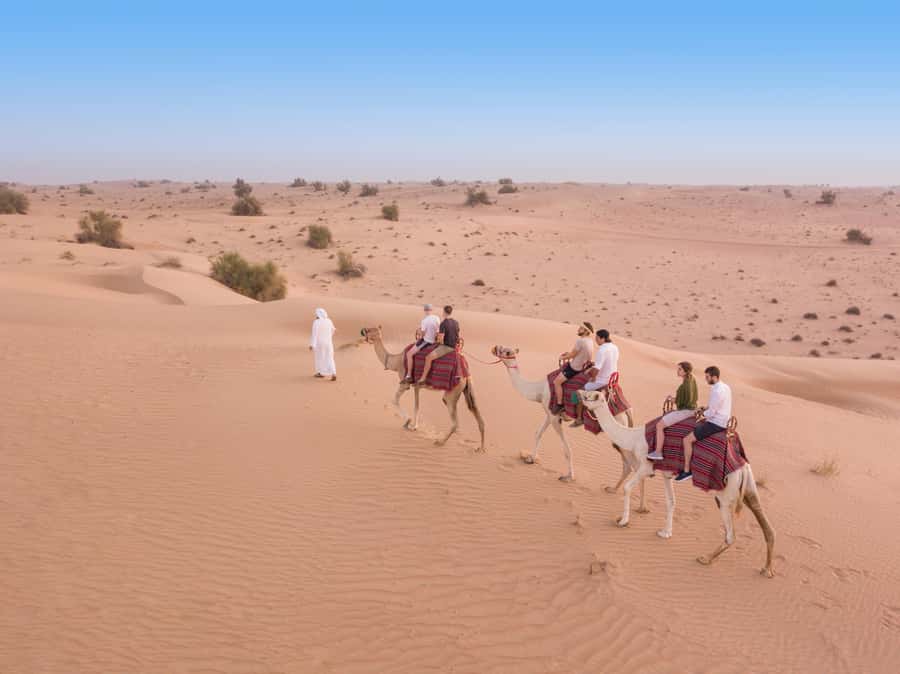 Dubai: Heritage Camel Desert Safari with Traditional Dinner - The 45-minute camel caravan across the dunes