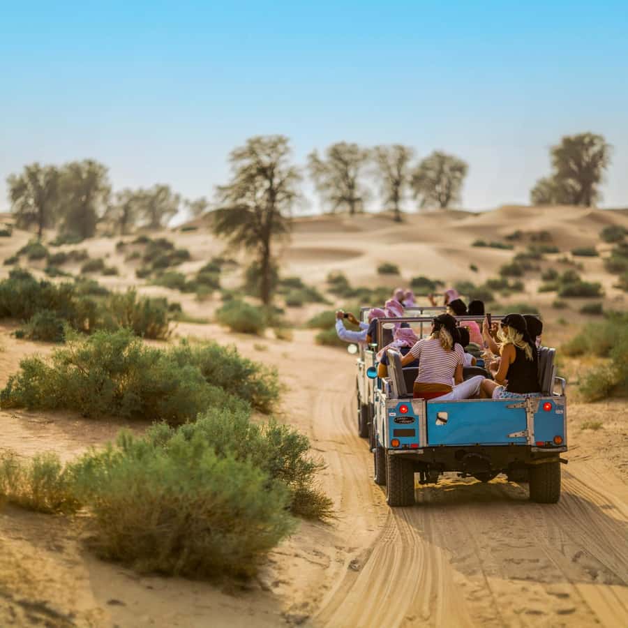 Dubai: Heritage Safari in Vintage Land Rover with Dinner - Falconry with the sun going down