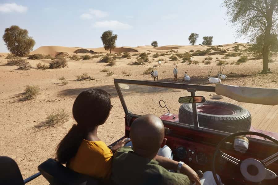 Dubai: Heritage Safari in Vintage Land Rover with Dinner - FAQ