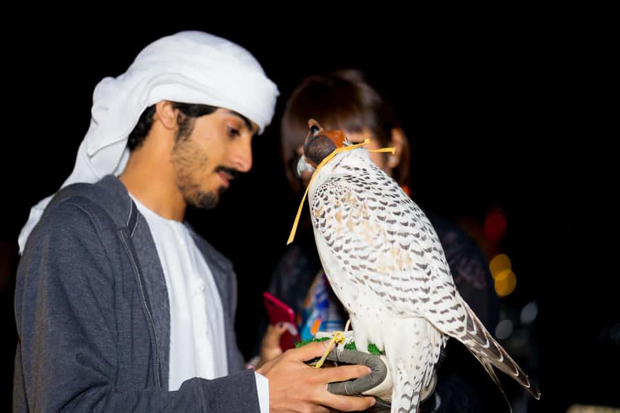 Dubai: Hot Air Balloon, Camel Ride, Desert Safari & More - From quiet air to a bumpy desert drive