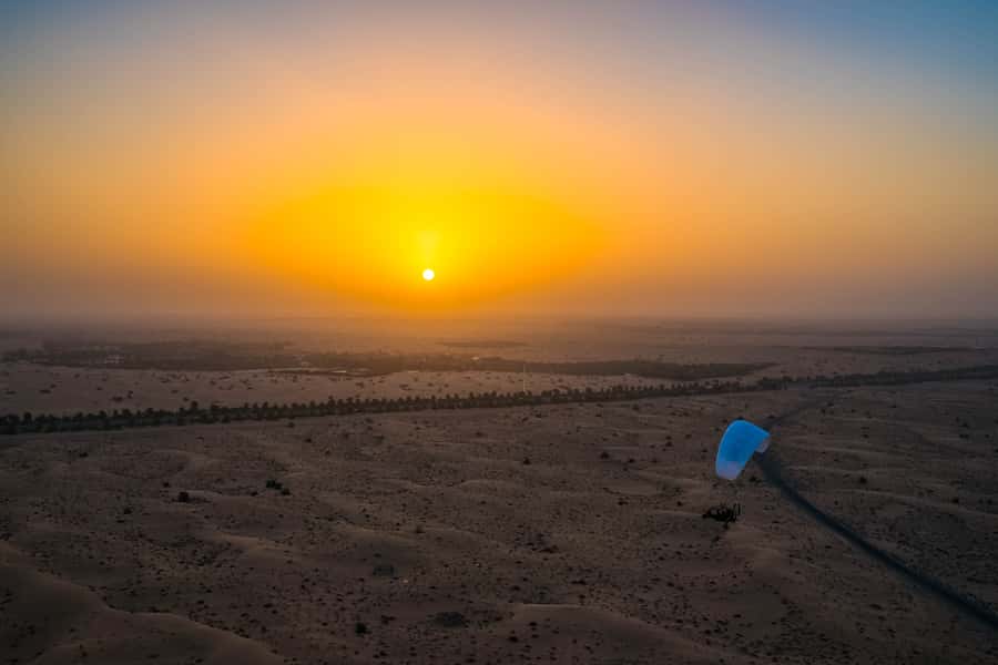 Dubai: Hot Air Balloon, Camel Ride, Desert Safari & More - Falconry photos and Arabian imagery
