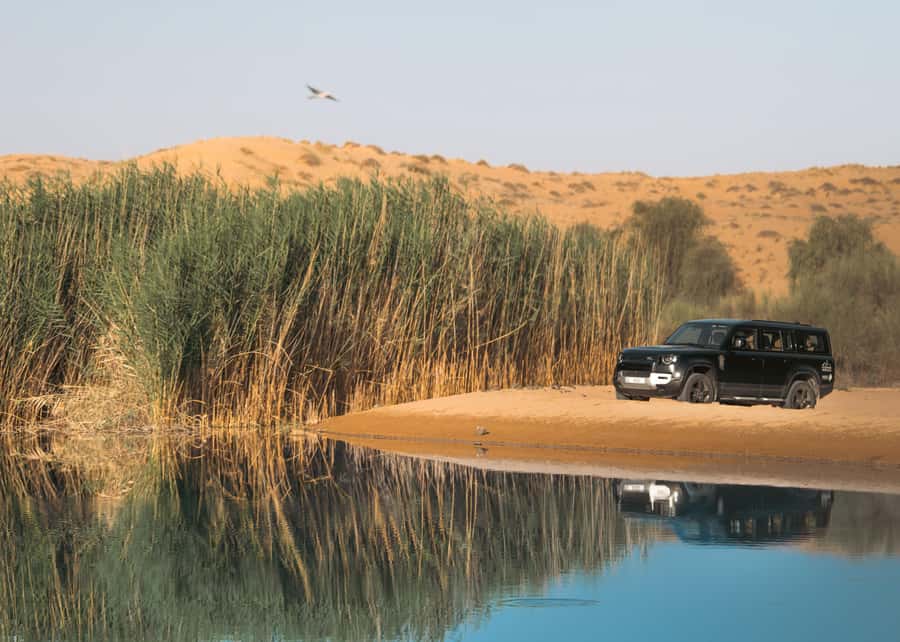 Dubai: Luxury Safari with Michelin-Curated 5-Course Dinner - A quieter kind of Dubai desert safari