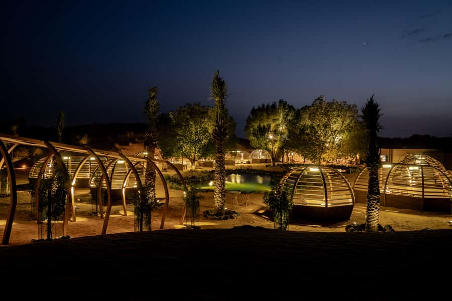 Dubai: Luxury Safari with Michelin-Curated 5-Course Dinner - Sunset stops, photographs, and the Ghaf trees