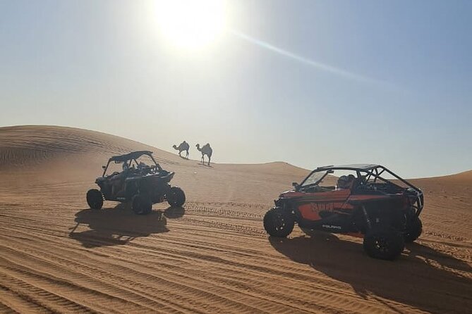 Dubai Morning Buggy Dunes Safari with Sandboarding & Camel Ride - Guides, photos, and the feel of the ride