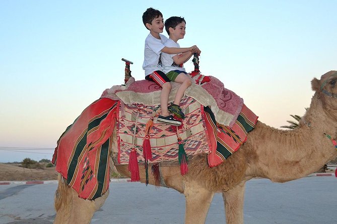 Dubai: Morning Desert Safari - Why a morning safari works so well in Dubai