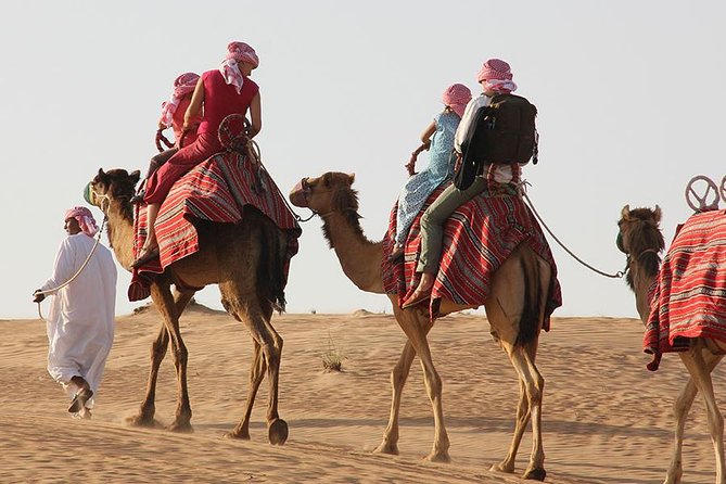 Dubai: Morning Desert Safari - What the $49 price really covers