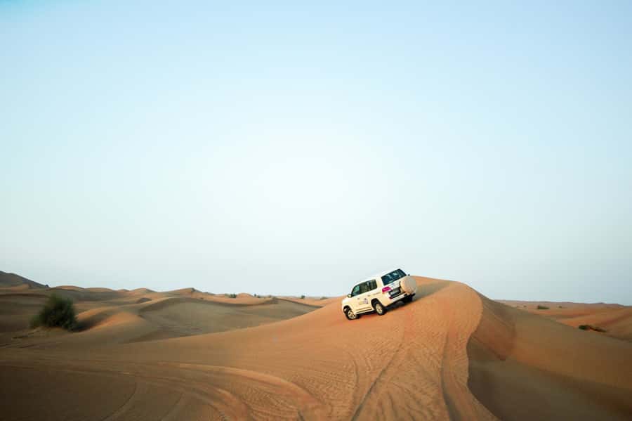 Dubai: Morning Desert Safari - Practical tips for a smoother morning