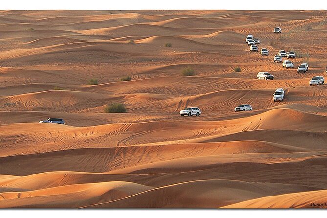Dubai Morning Desert Safari: Camel Ride & Sandboarding! - A Short Camel Ride with Cultural Value
