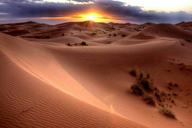 Dubai Morning Desert Safari: Camel Ride & Sandboarding! - Sandboarding on Soft Dunes