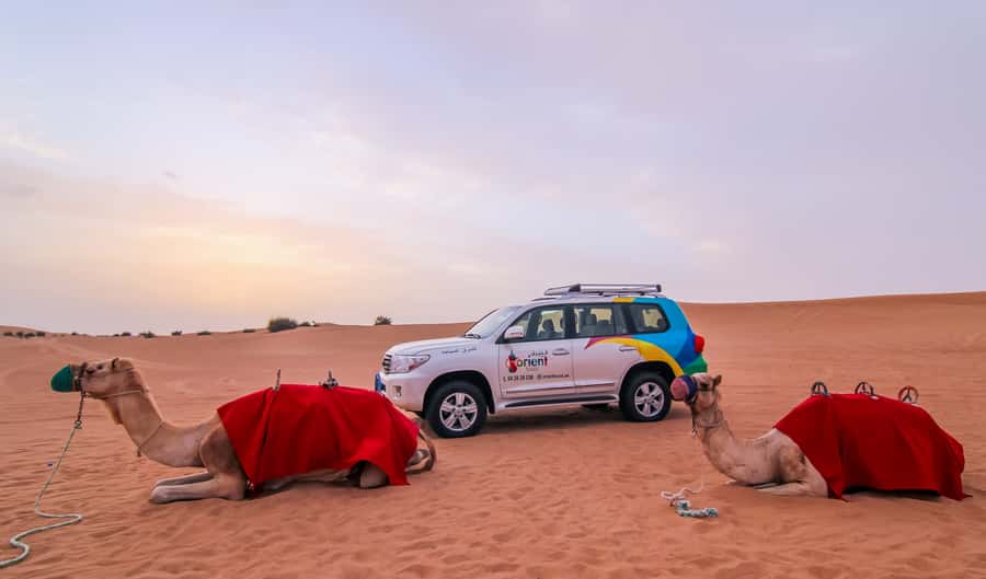 Dubai: Morning Desert Safari with Camel Ride & Sandboarding - Photo stops are part of the experience