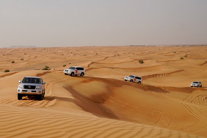Dubai Morning Desert Safari with Quad Biking & More Activities - Sandboarding and the short camel ride