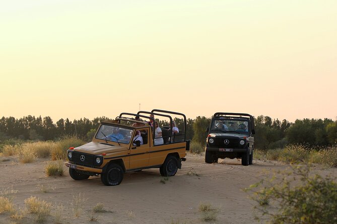 Dubai: Morning Safari by Vintage G Class & Al Marmoom Experience - Al Marmoom by 1980s Mercedes G-Class