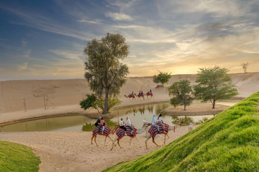 Dubai: Overnight Safari with Luxury Dome Stay & Stargazing - Red dunes, wildlife, and a short burst of speed