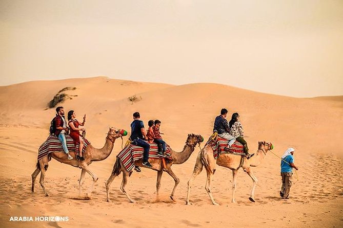 Dubai Premium Desert Safari with Live shows & Gourmet Dinner - Quick takeaways before you book