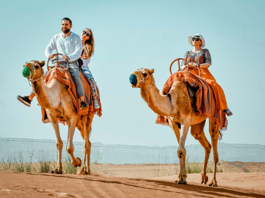 Dubai: Premium Red Dune Safari with Sandboarding & BBQ - From your Dubai hotel to the Lahbab desert