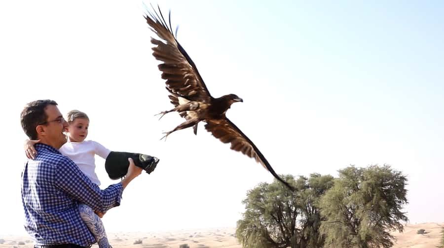 Dubai: Private Falconry Safari - Key points to know before booking