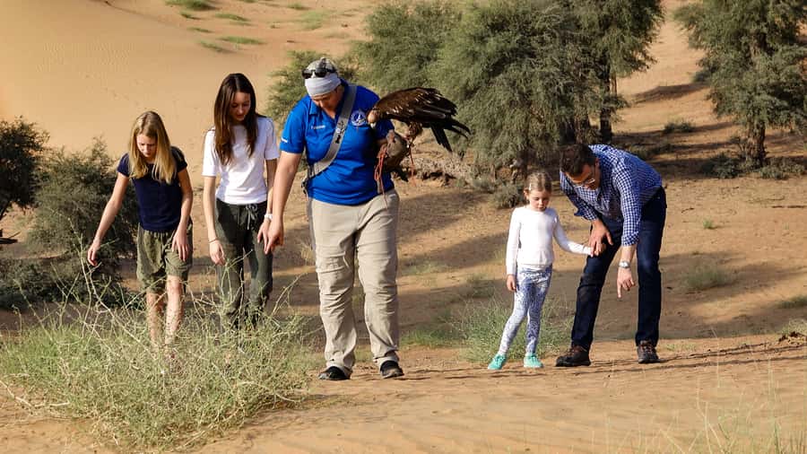 Dubai: Private Falconry Safari - Searching for Arabian oryx and desert wildlife