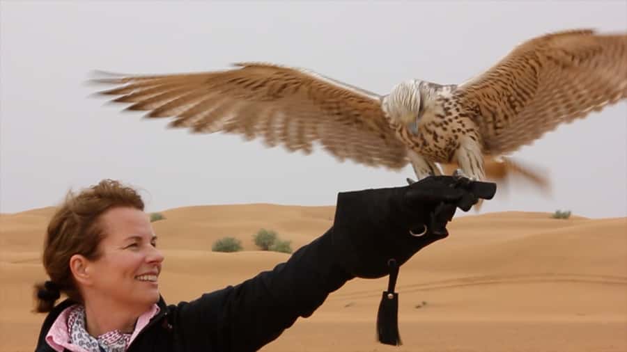 Dubai: Private Falconry Safari - Is $288 per person good value?