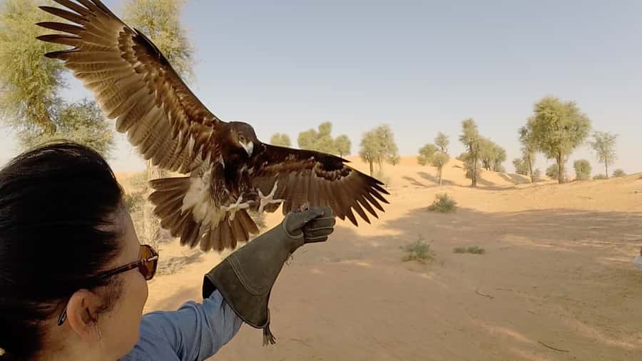 Dubai: Private Falconry Safari - The early 4WD ride into the reserve