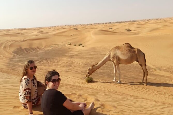 Dubai Private Morning Desert Safari: Camel Ride & Sandboarding - Camel riding for a slower desert view