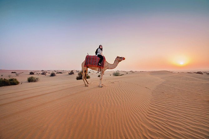 Dubai Private Morning Desert Safari: Camel Ride & Sandboarding - Dune bashing in a private 4x4
