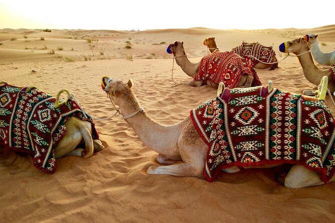 Dubai Red dune Desert Safari With Dune Bashing, Camel Ride & BBQ - Dune bashing in a 4x4