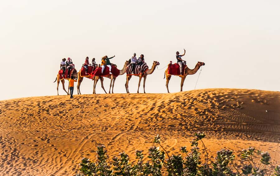 Dubai: Red Dune Safari, Quad Bike, Camel Ride, BBQ Dinner - Dune bashing brings the big rush