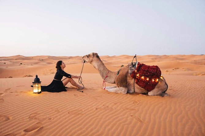 Dubai: Red Dunes Desert Safari, Camel ride, Sandboard, Quad Bike - Key Points at a Glance