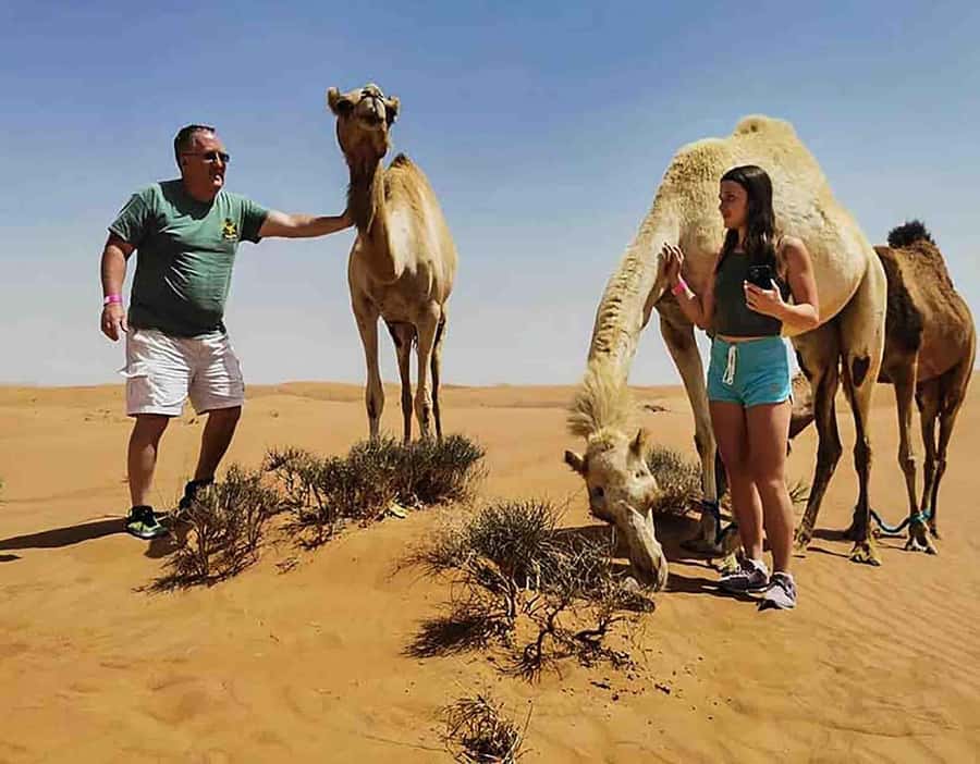 Dubai: Red Dunes Desert Safari with Premium Camp BBQ & Shows - Arriving at the premium desert camp