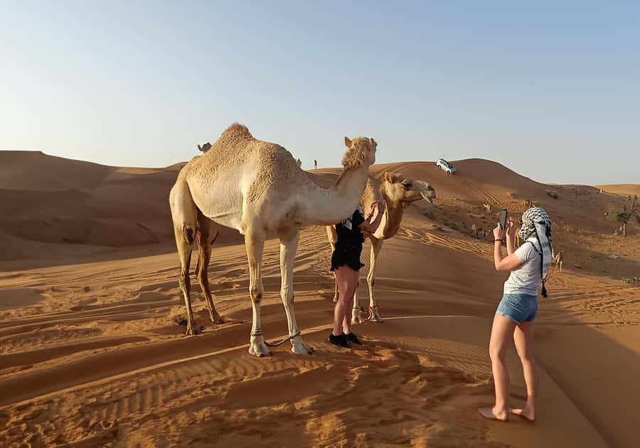 Dubai: Red Dunes Desert Safari with Premium Camp BBQ & Shows - Camel ride and falcon photos at the desert entrance